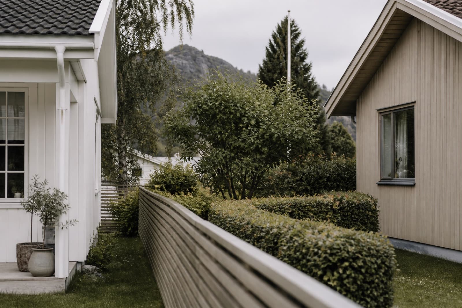 Tregjerde mellom to naboer i et norsk boligområde